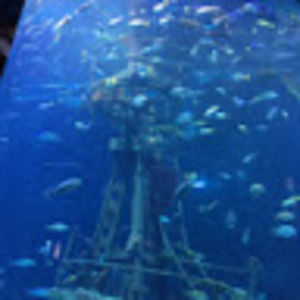 Meet your Posher, Katelynn